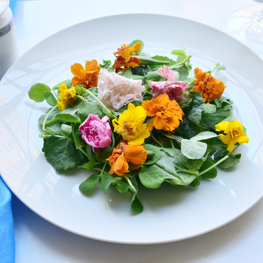 Edible Flowers – Kaze Living