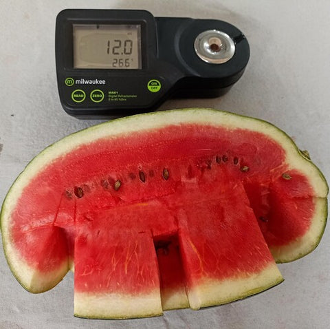 Watermelon (Certified Organic)