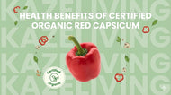  Certified Organic Red Capsicum