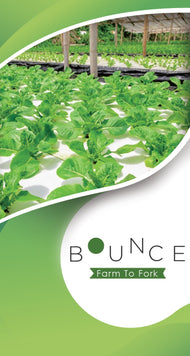 Bounce