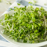 Microgreens