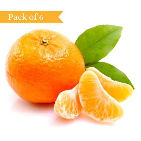 Mandarin From South Africa (Pack of 6)