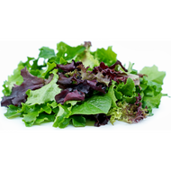 Leafy Mix (Hydroponically Grown)