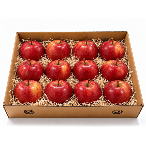 Apple Royal Gala 12Pcs Box