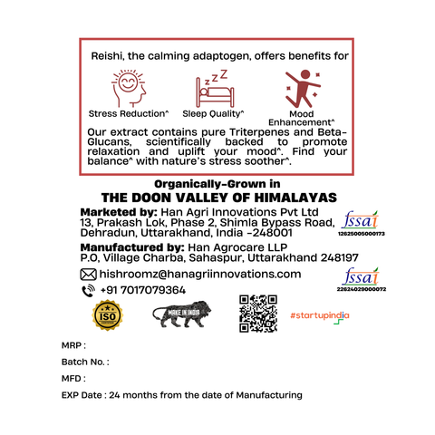 Reishi Extract Powder