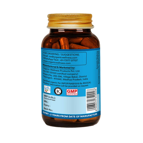 Organic Wellness Brahmi+ 90 Capsules