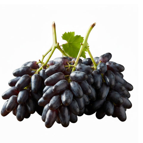 Sapphire Seedless Grapes from China