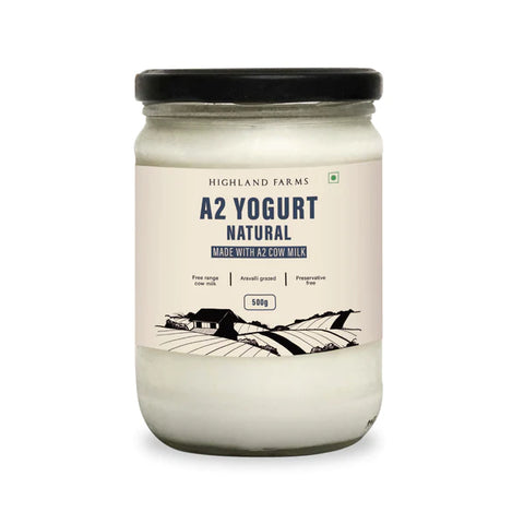 A2 Yogurt Natural, 500gm (Delivered Separately Next Day)