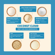 Everyday Protein Oats | Coconut Cloud | Pack of 1