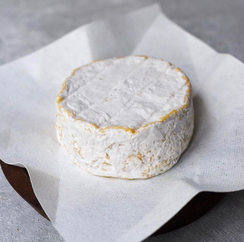 Artisanal Brie Cheese