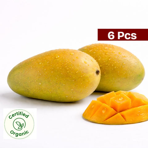 Alphonso Mango 6 Pc ( Certified Organic )