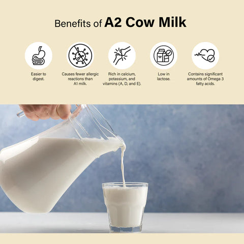 A2 Yogurt Low Fat, 500gm (Delivered Separately Next Day)