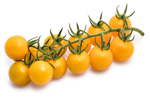 Yellow Vine Tomato from  Netherlands