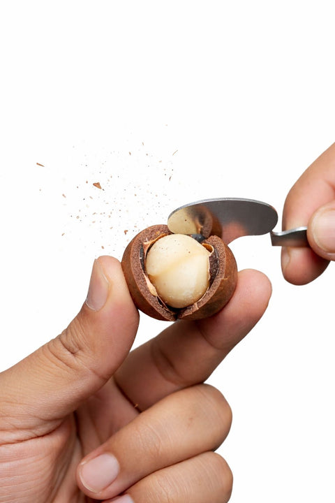 Australian Macadamia Nuts with Key
