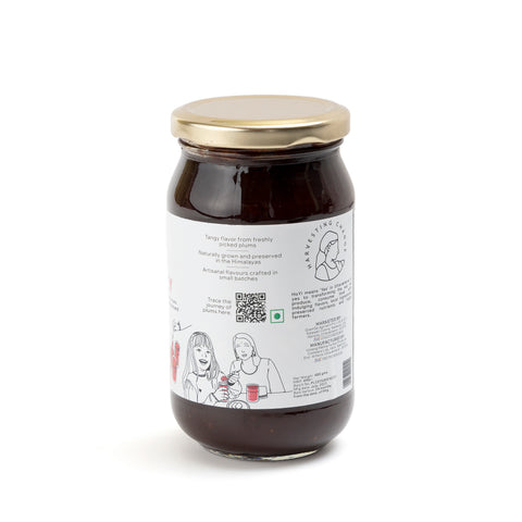 HoYi Plum chutney 480grams