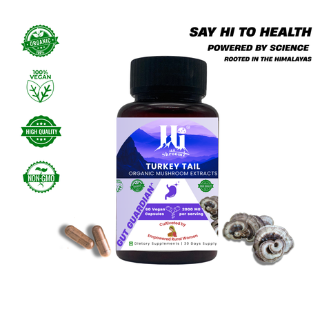 Turkey Tail Capsules