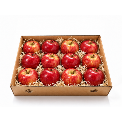 Apple Kinnaur 12Pcs Box
