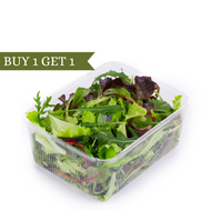 Salads & Hydroponic Vegetables
