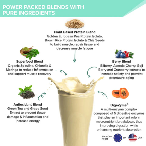 Wellbeing Nutrition Superfood Plant Protein - British Banoffee Pie 500g