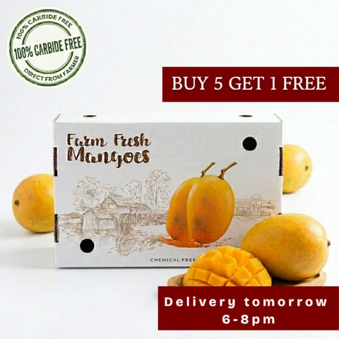 Premium Alphonso Mango box 12 Pc | Buy5 Get1 Free (Carbide Free) 200-240gm per Pc