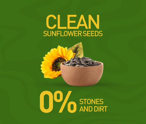 Nourish Organics Active Sunflower Seeds 400grams