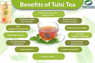 The Original Tulsi (Tin)