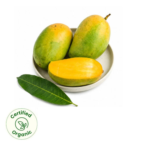 Kesar Mango 2pc  (Certified Organic) 400-500 gm