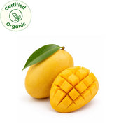 Safeda Mango (Certified Organic)  4Pc 500-600 Gm