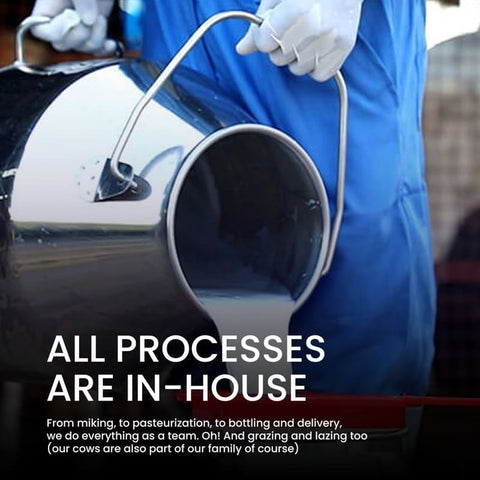 A2 Whole Milk 1L/Alternate (Order by 10 Pm) (Delivered Separately Next Day)