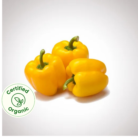 Capsicum Yellow (Certified Organic)