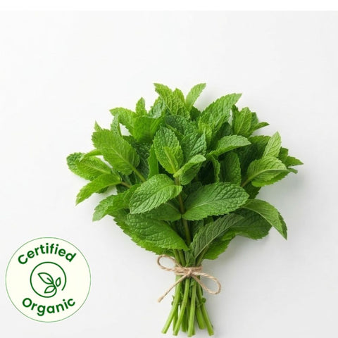 Mint 100 gm (Certified Organic)