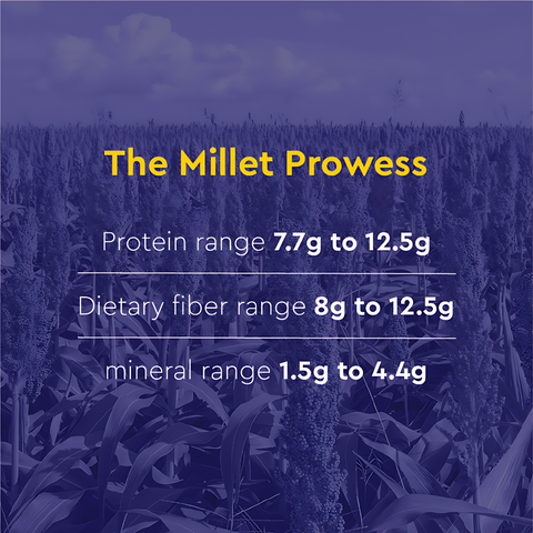 Mixed - Browntop Millet and Foxtail Millet- Instant Dosa Mix