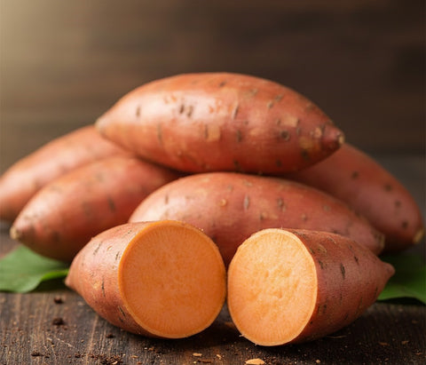Orange Sweet Potato from USA