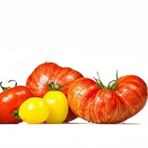 Heirloom Tomato from Netherlands
