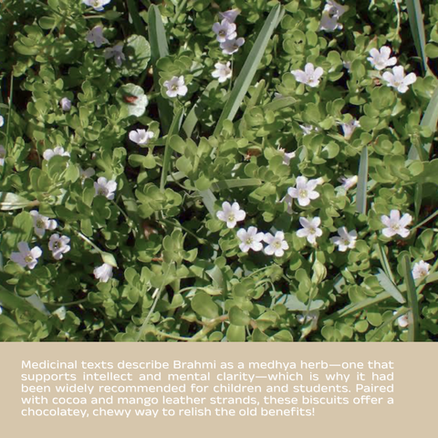 Jowar-Cocoa Biscuits with Brahmi