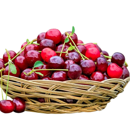 Cherry from Iran