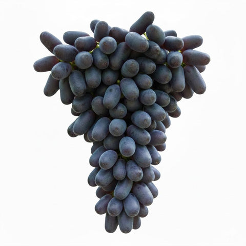 Sapphire Seedless Grapes from China