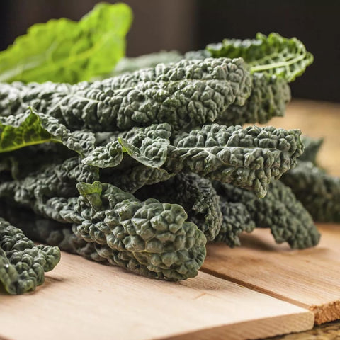 Tuscan Kale (Hydroponically Grown)