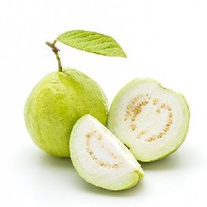 Guava Premium