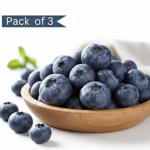 Blueberry Imported (Pack of 3)