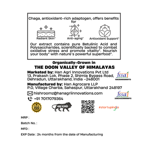 Chaga Extract Powder