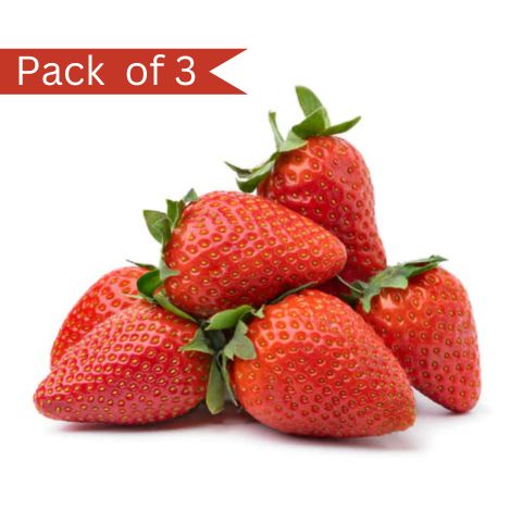 Himalayan Strawberry (Pack of 3)