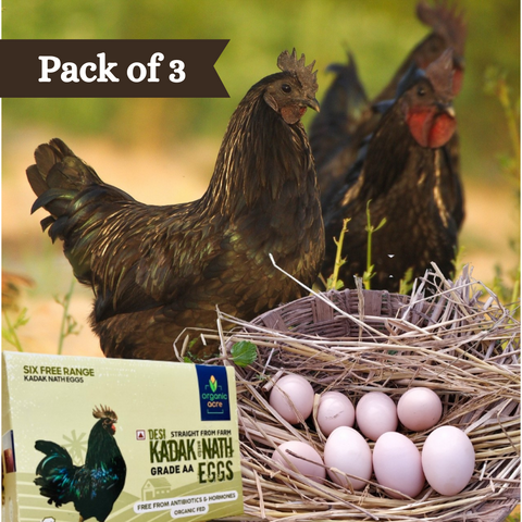 Organic Kadaknath Eggs Pack of 3