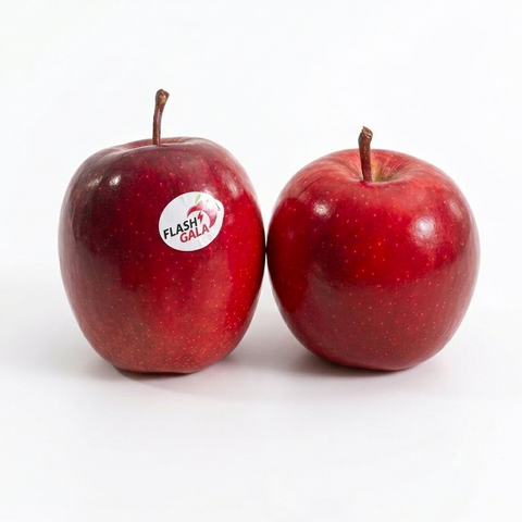 Flash Gala Apple 2Pc