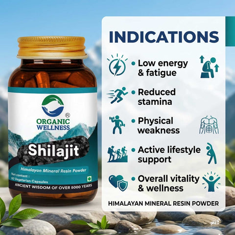 Organic Wellness Shilajit 60 Capsules