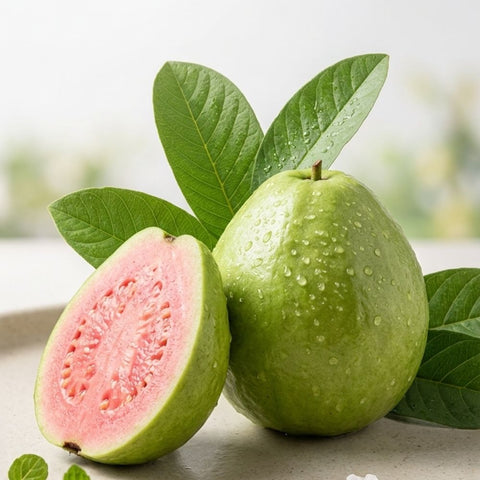 Red Diamond Guava