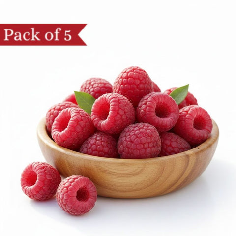 Jumbo Himalayan Raspberry (Pack of 5)