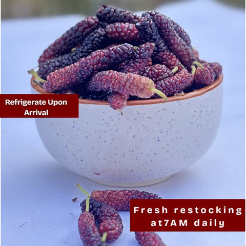 Mulberry Red (shahtoot)