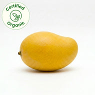 Amarpali Mango Certified Organic 2 pc 400-500 gm