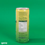 Quenzy Cucumber mint Prebiotic soda (Pack of 3)